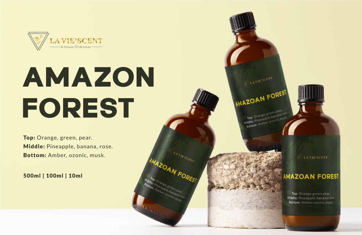 Amazon-Forest-